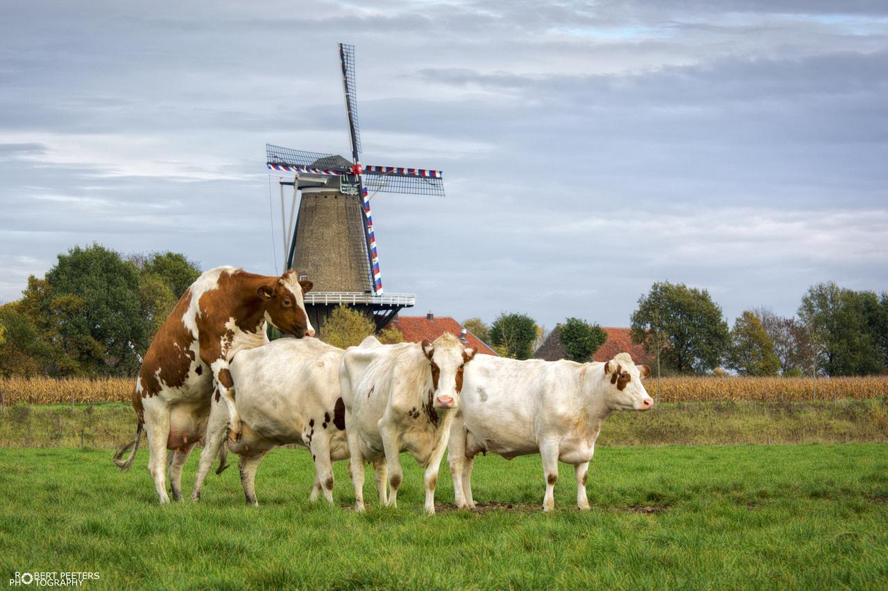 B&B, Brasserie Lakerhof Ohe en Laak Luaran gambar